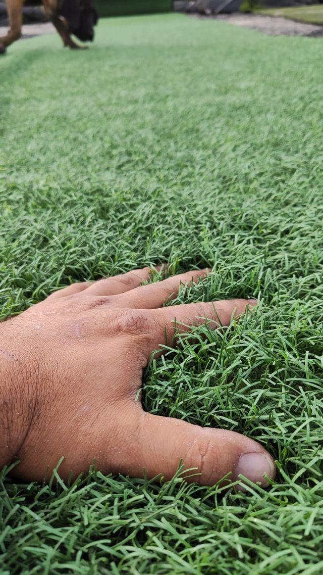 Césped reciclado de campo de futbol