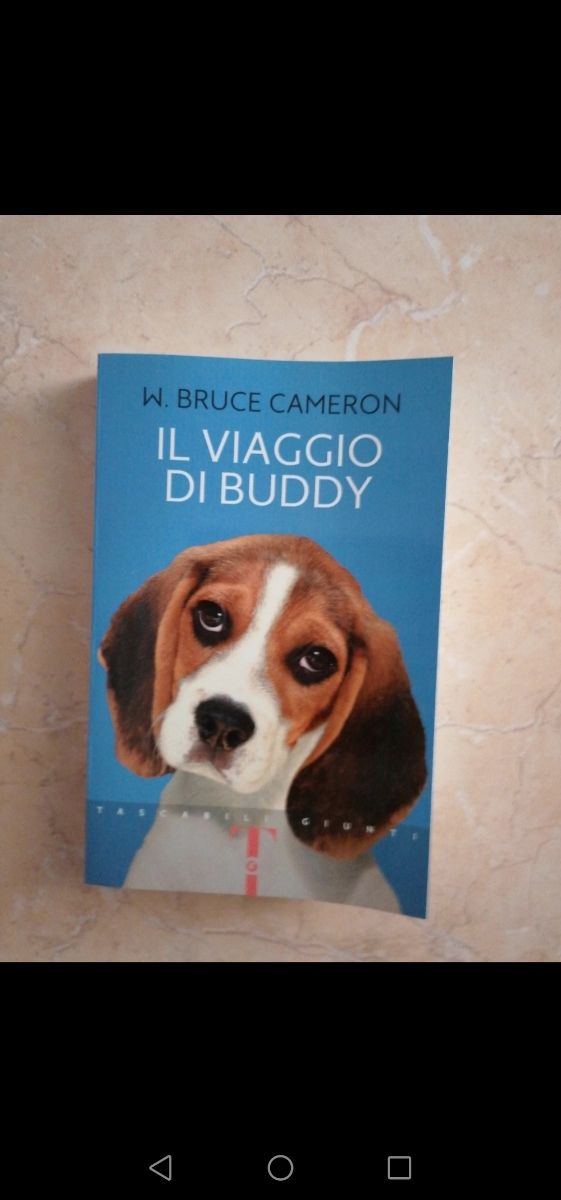Il viaggio di Buddy
