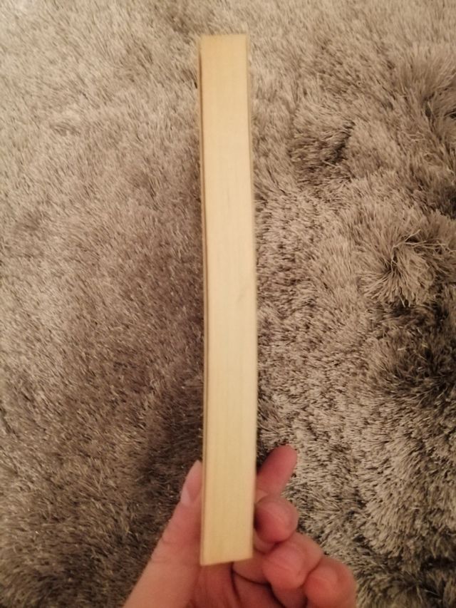 El custodio de agravios / Warhammer fantasy