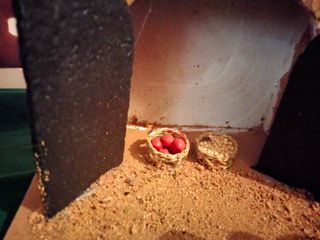 Casas molino letrina Belén 10 12 14 17 20 cm