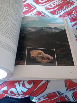 Libro Preistoria