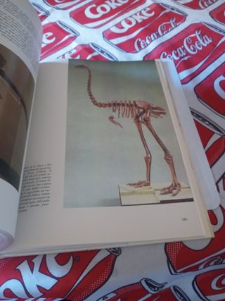 Libro Preistoria