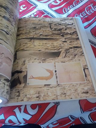Libro Preistoria