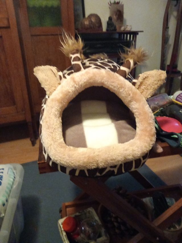 Cunita:hurón, chinchilla. ect