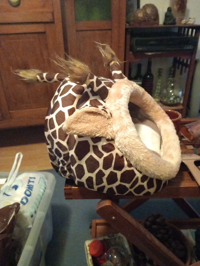 Cunita:hurón, chinchilla. ect