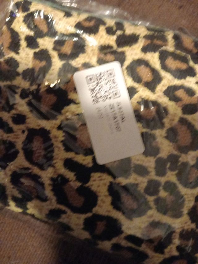 Dama a mascota pequeña