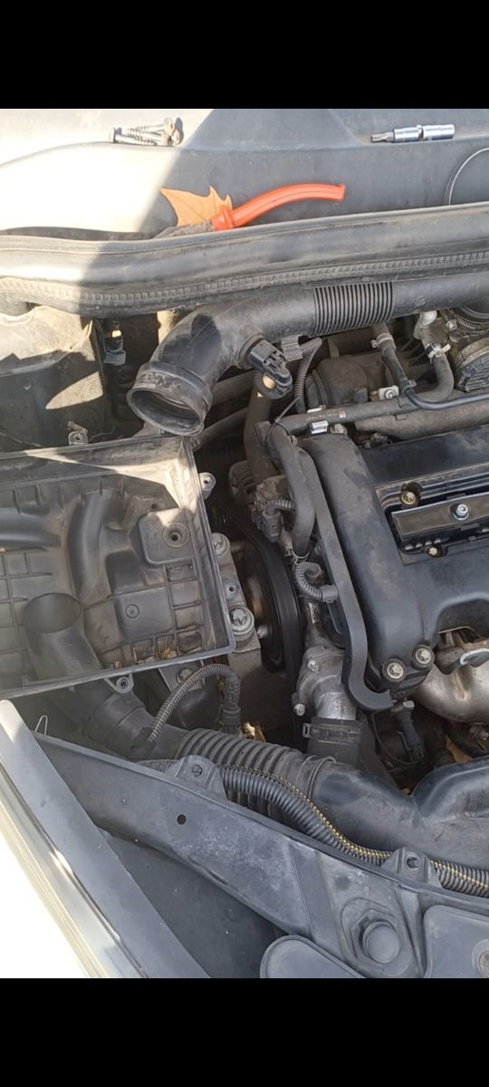 Mecanico, trabajo serio