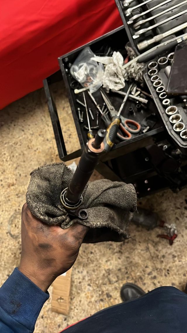 Mecanico, trabajo serio