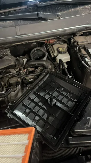 Mecanico, trabajo serio