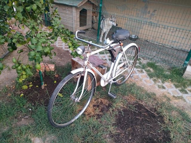 Bottecchia anni 70 originale