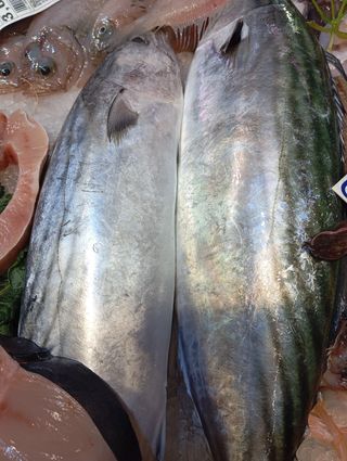 Venta de pescado de buena calidad y frescos