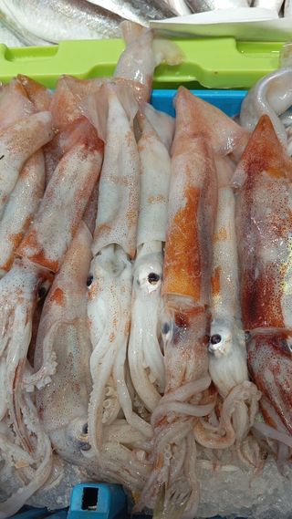 Venta de pescado de buena calidad y frescos