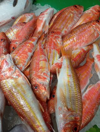 Venta de pescado de buena calidad y frescos