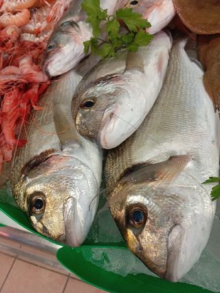 Venta de pescado de buena calidad y frescos