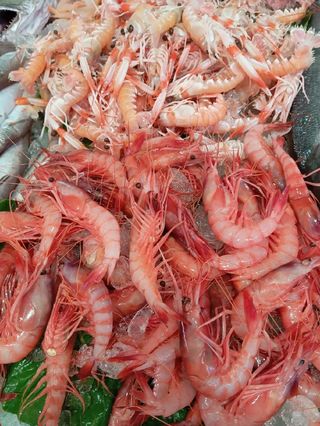 Venta de pescado de buena calidad y frescos