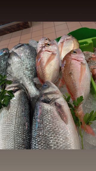 Venta de pescado de buena calidad y frescos