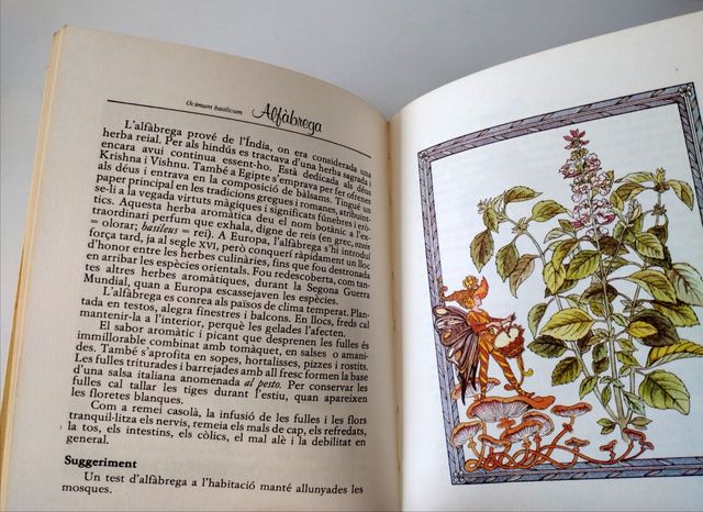 El Secret de les Herbes.