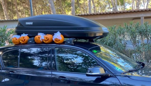 Venta o alquiler baül Thule pacific 410 L