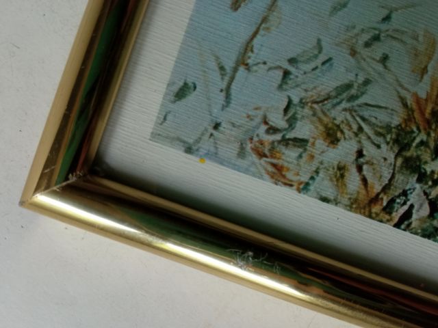 Gran Teatro Liceo las ramblas cuadro