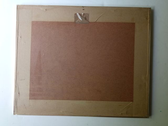 Gran Teatro Liceo las ramblas cuadro