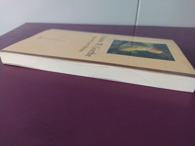 Penas del joven Werther / Goethe