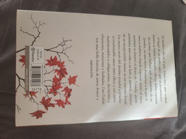 Libro Como Fuego en el Hielo-Luz Gabás