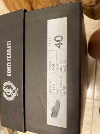 Zapatos Novio