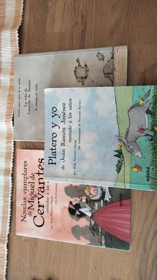 Lote de novelas clásicas para niños