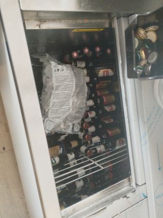 Nevera botellines seminueva