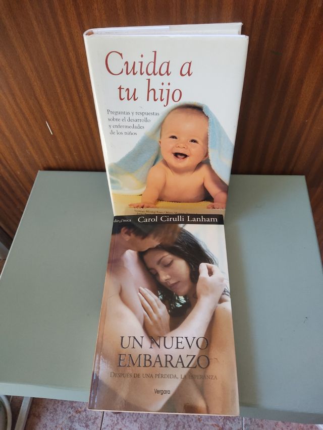 lote de dos libros