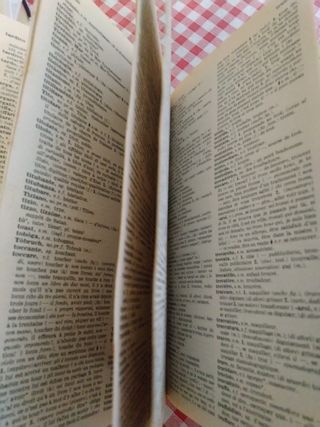 Dizionario di francese