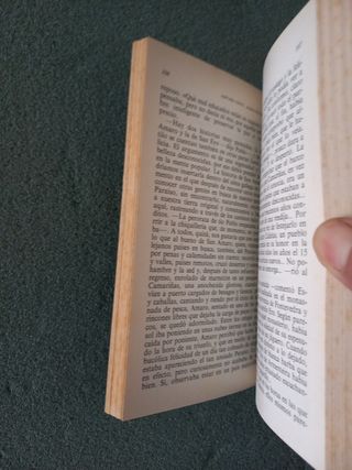 LITERATURA JUVENIL,  ESMORGANTES