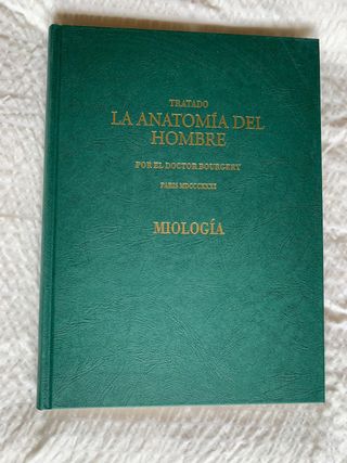 Anatomía humana