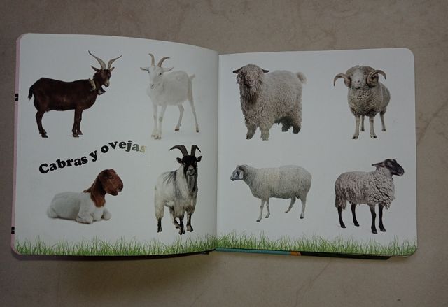 Lote libro trenes y granja+puzzles+juguetes