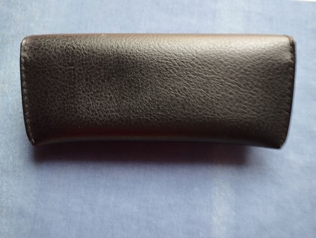 custodia occhiali sole Raynban