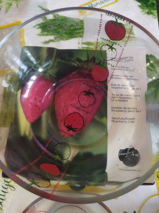 Lote dos cuencos macedonia nuevos