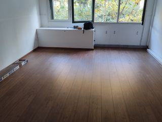 Parquetista ,puertas ,pinturas , reparación 