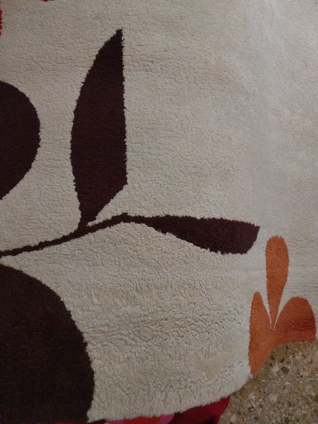 Alfombra SIN manchas SIN olores