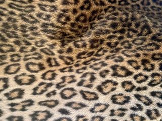 Pelliccia ecologica leopardata Yves Saint Laurent