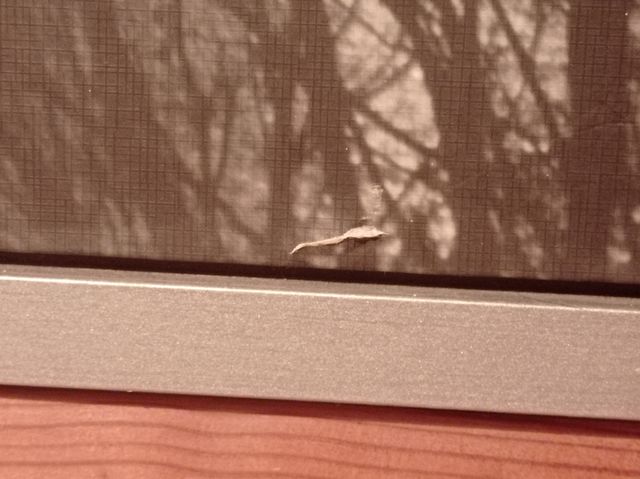 Cuadro grande de Paris