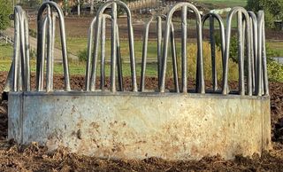 COMEDOR DE VACAS JOURDAIN
