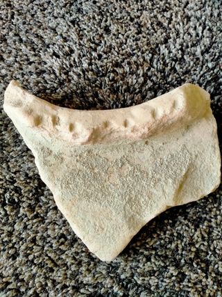 FRAGMENTO BOCA RECIP.ROMANO( DOLIUM)