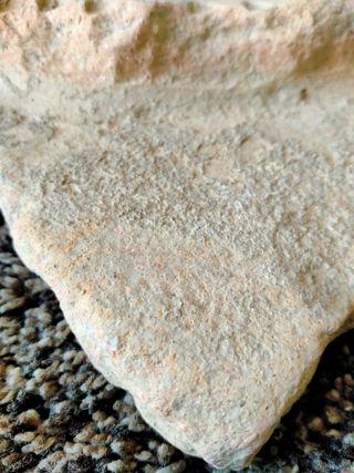 FRAGMENTO BOCA RECIP.ROMANO( DOLIUM)