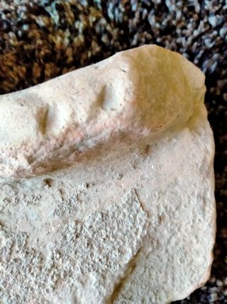 FRAGMENTO BOCA RECIP.ROMANO( DOLIUM)