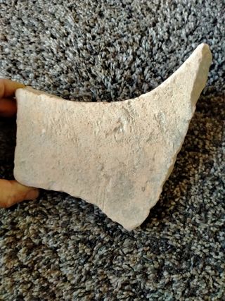 FRAGMENTO BOCA RECIP.ROMANO( DOLIUM)