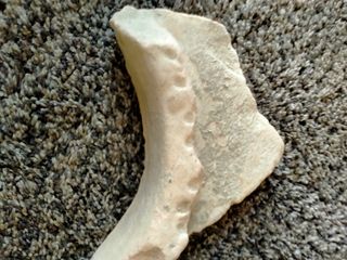 FRAGMENTO BOCA RECIP.ROMANO( DOLIUM)