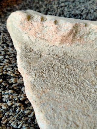 FRAGMENTO BOCA RECIP.ROMANO( DOLIUM)