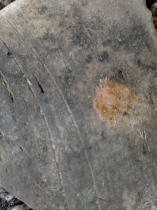 FRAGM.CERAMICA MELADA ALMOHADE