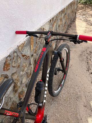TRIFOX carbono 29 M