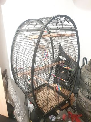 Jaula loro pajaro